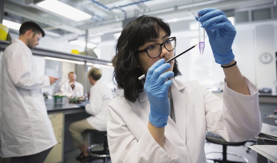Scientist examining liquid in test tube in laboratory